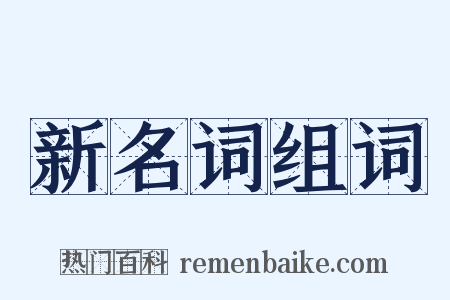 新名词组词是什么意思的图片